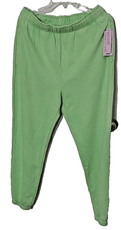 Wild Fable Clothing, Shoes & Accessories:Women:Women's Clothing:Activewear:Activewear Pants Wild Fable Medium Size Womens Mint Green High-Rise Lounge Sweatpants - NWT