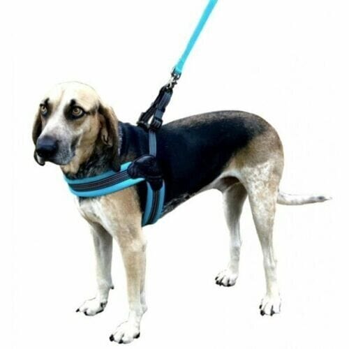 Sporn Pet Supplies:Dog Supplies:Harnesses Sporn Easy Fit Dog Harness, Mesh, Blue, Small Dog ~ New